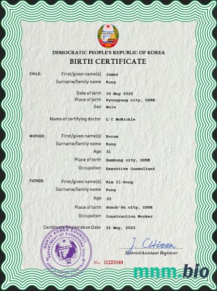 North Korea narodziny certyfikat PSD szablon